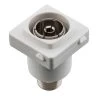 TradCo - Accessories - Digital TV Socket 2 TradCo - Accessories - Digital TV Socket -Home Hardware 2b3f33 2ca2953adb314f9abeb822fff16363a9mv2