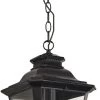Exterior Light - Kingdom - Chain Pendant 2 Exterior Light - Kingdom - Chain Pendant -Home Hardware 2b3f33 35682e55864c46acac4ac7bd45fac829mv2