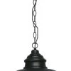 Exterior Light - Parkway - Chain Pendant -Home Hardware 2b3f33 611601353db34d4baf8f4541e83d9fdbmv2