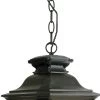 Exterior Light - Transit - Medium Chain Pendant 1 Exterior Light - Transit - Medium Chain Pendant -Home Hardware 2b3f33 842736432daa4e7b879c23cf9ca2d9demv2