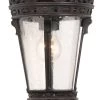 Exterior Light - Crown - Small Under Eave -Home Hardware 2b3f33 ea648fa4e16e49ff84bf60baab4c1550mv2
